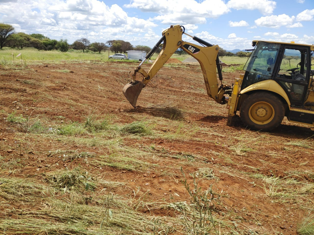 2.1 Bush clearing 1