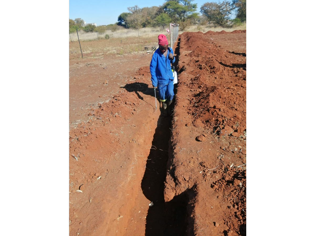 6. Fumigating trenches
